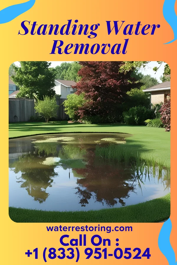 Standing Water Removal in Essex, MO